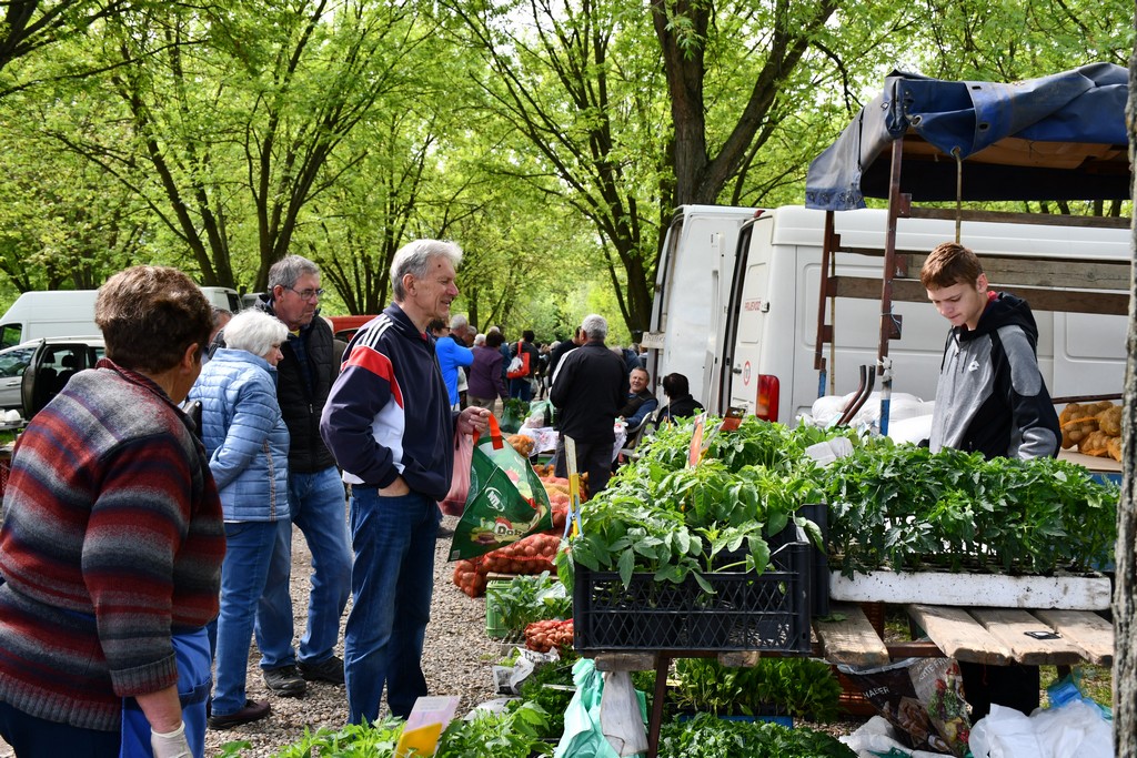 ČAKOVEČKI SAJAM SRIJEDOM Najveći interes i dalje vlada za presadnice