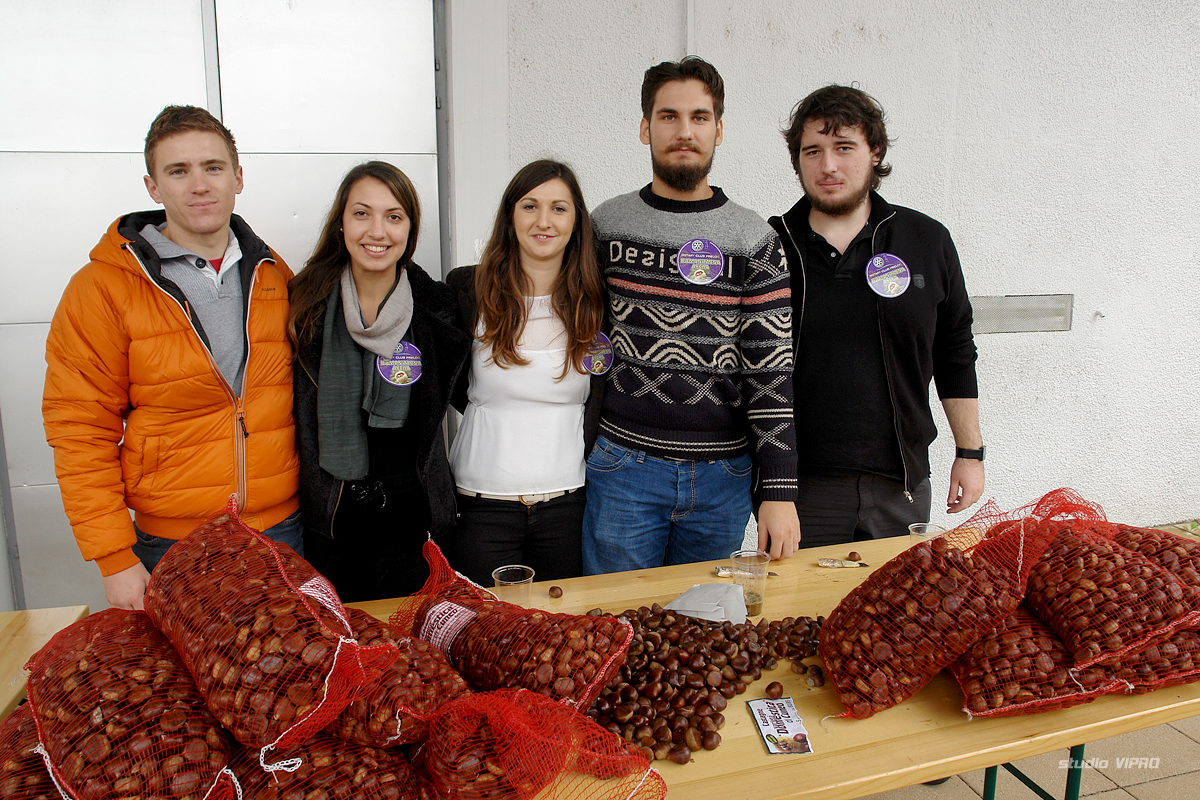 261810374dsc09795608179