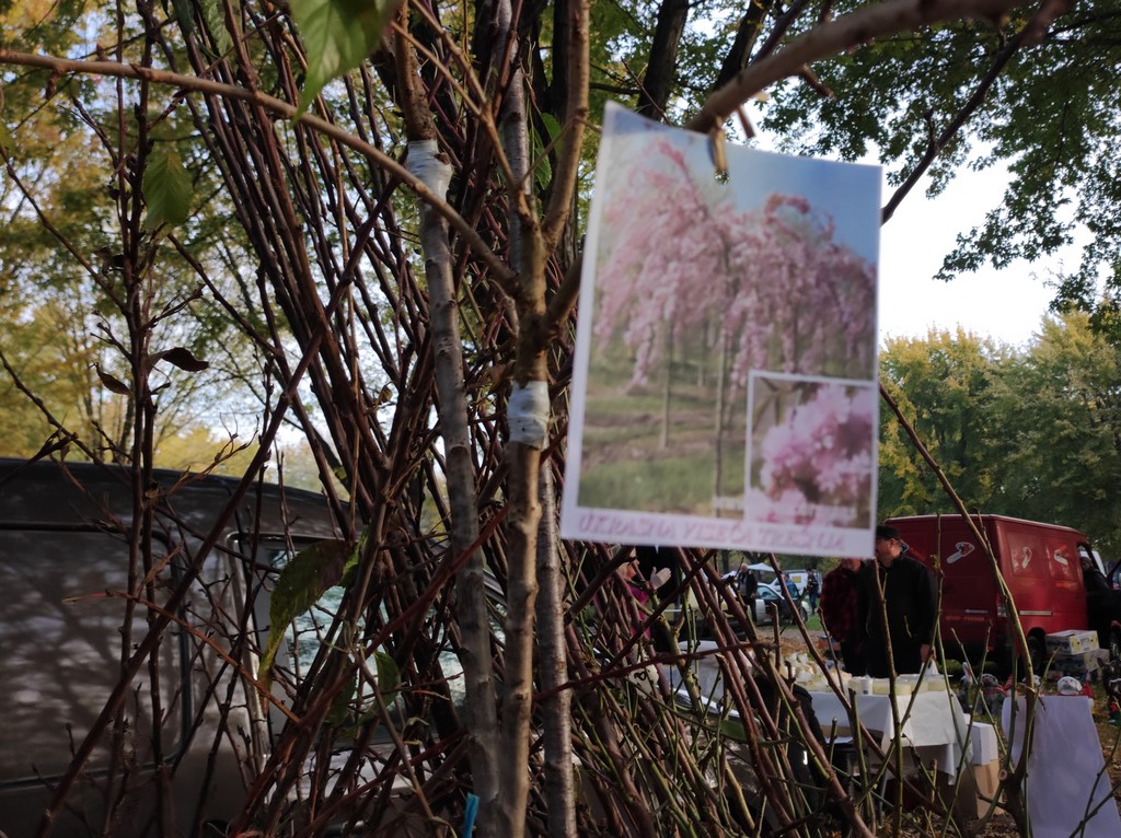 SAJAM SRIJEDOM Jeste li već probali meksički krastavac ili čajot?