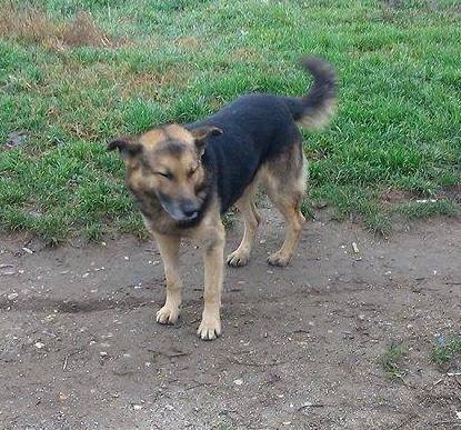 1234812511861306980682762084480