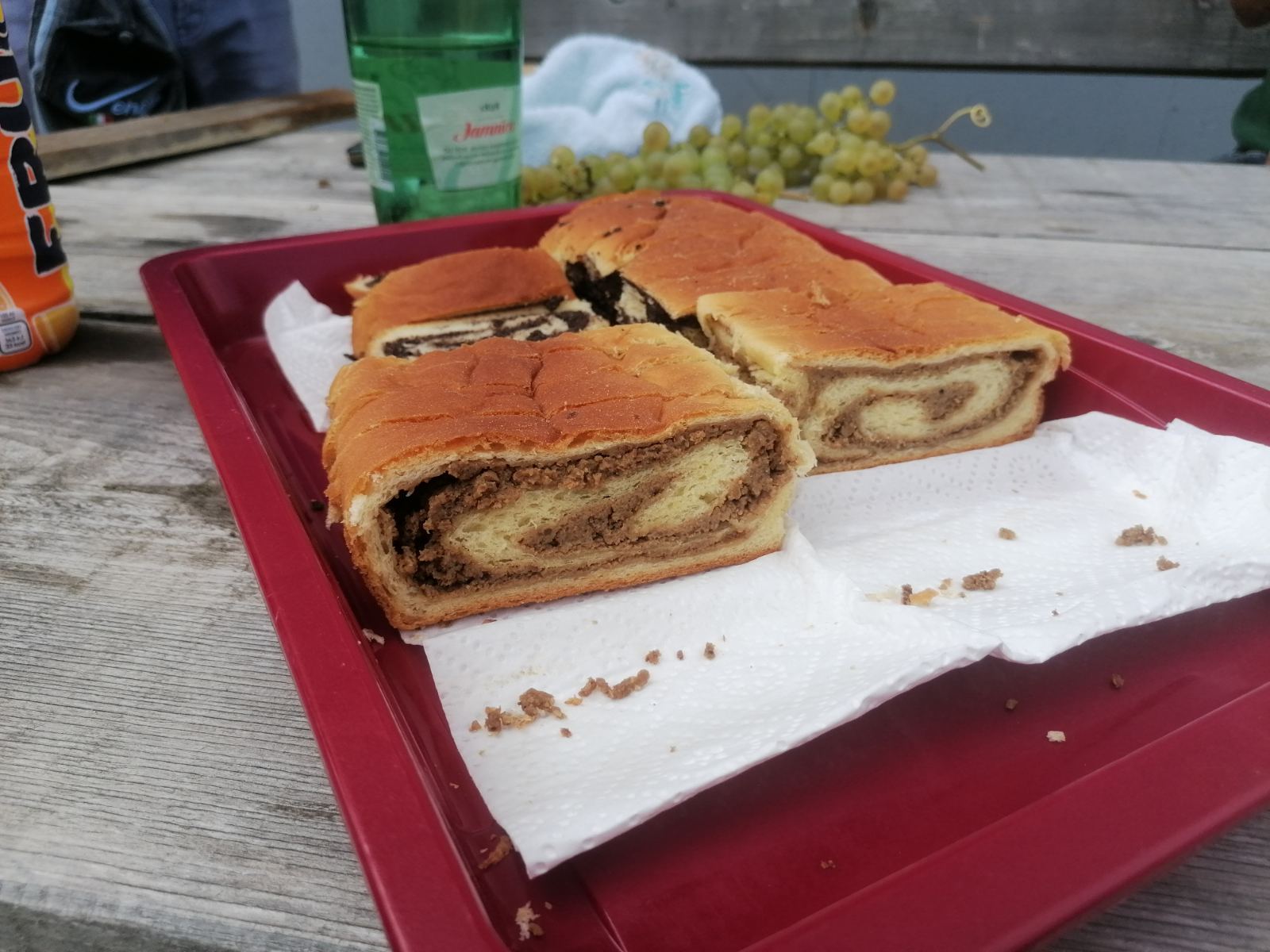 FOTO Berba na Balog bregu: Uz veselo društvo, sve se lako ‘pobere’!