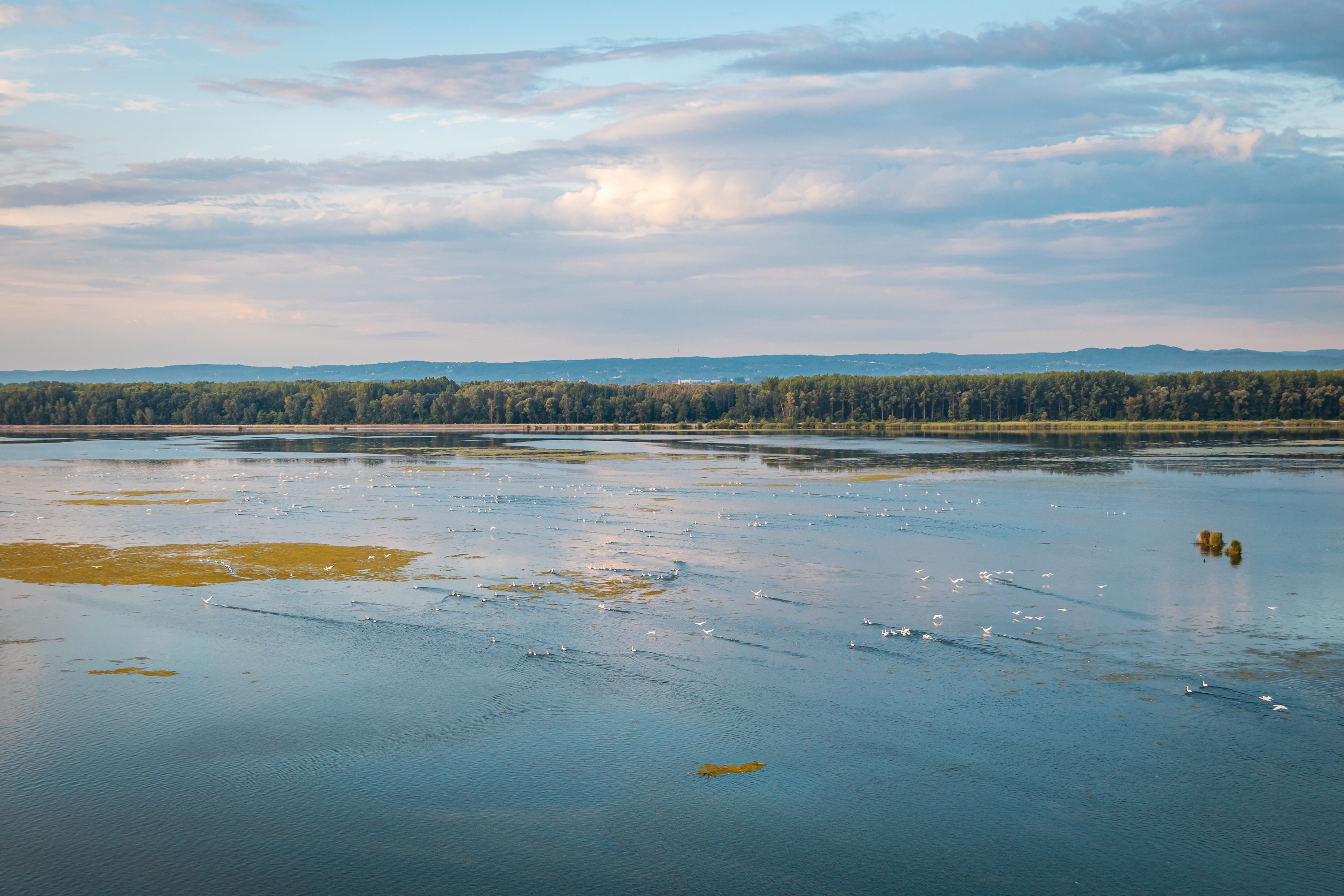 U Međimurje stižu spektakularni baloni na vrući zrak!