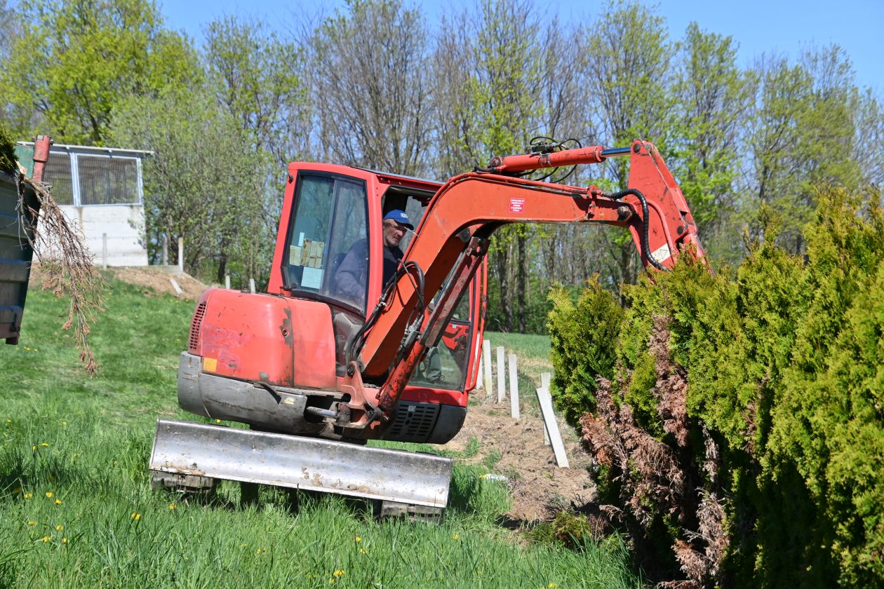 Pleškovec čempres IV Pleškovec čempres IV