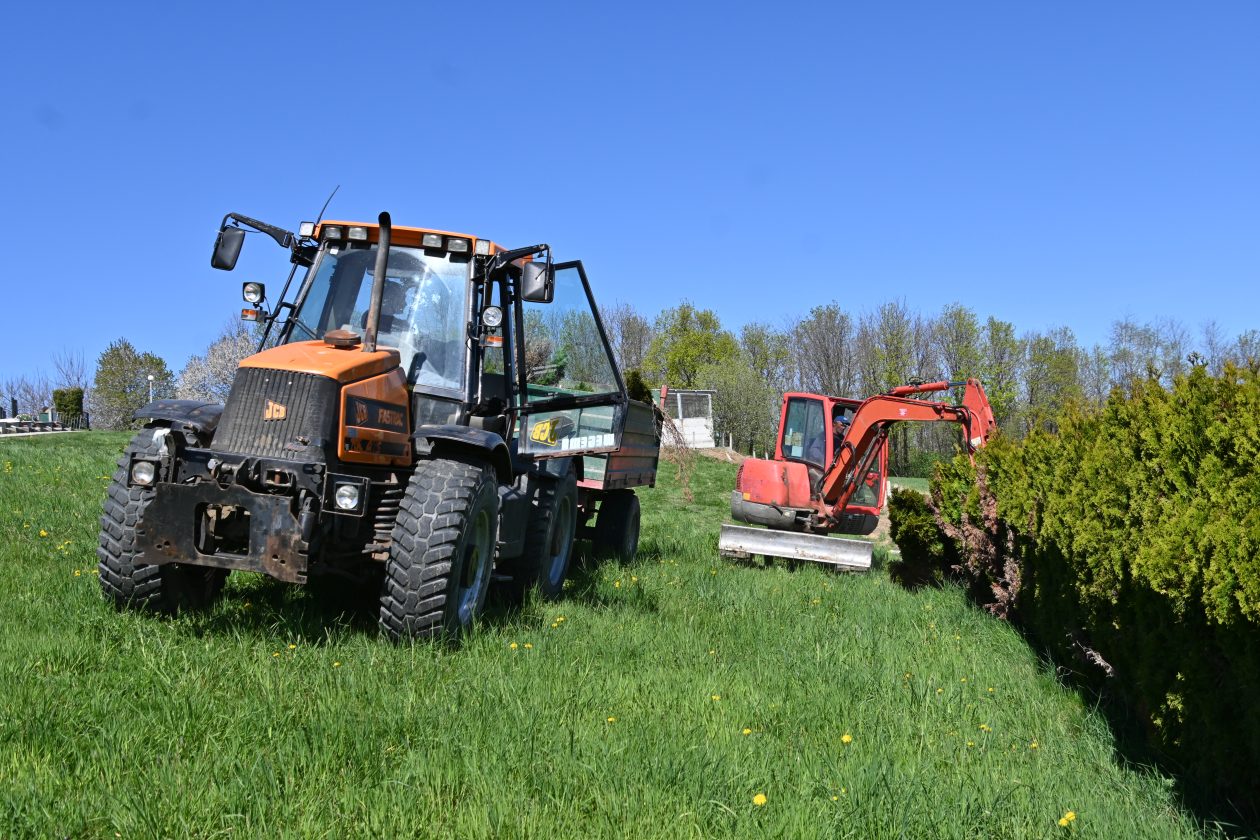 Pleškovec čempres IV Pleškovec čempres IV