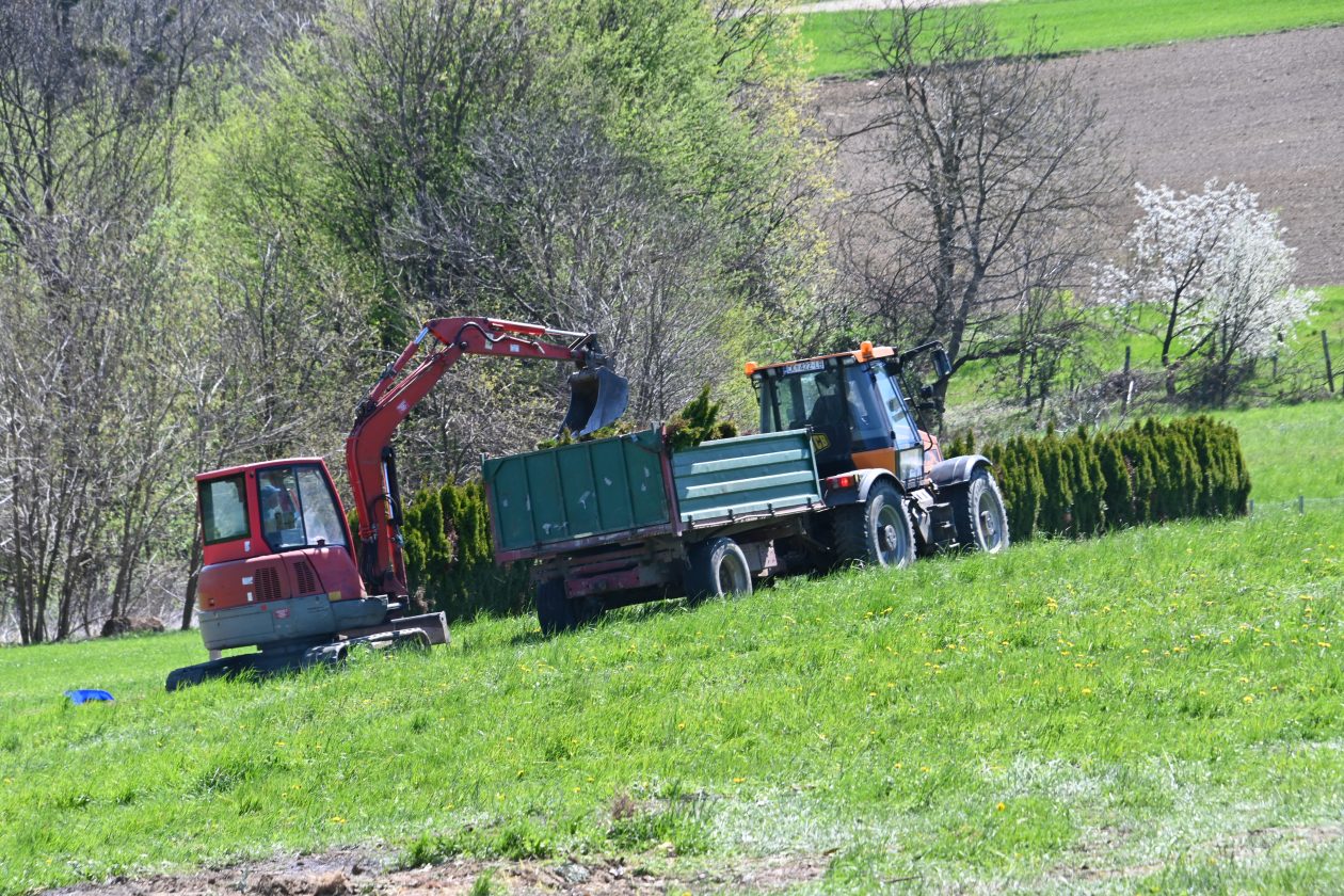Pleškovec čempres IV Pleškovec čempres IV