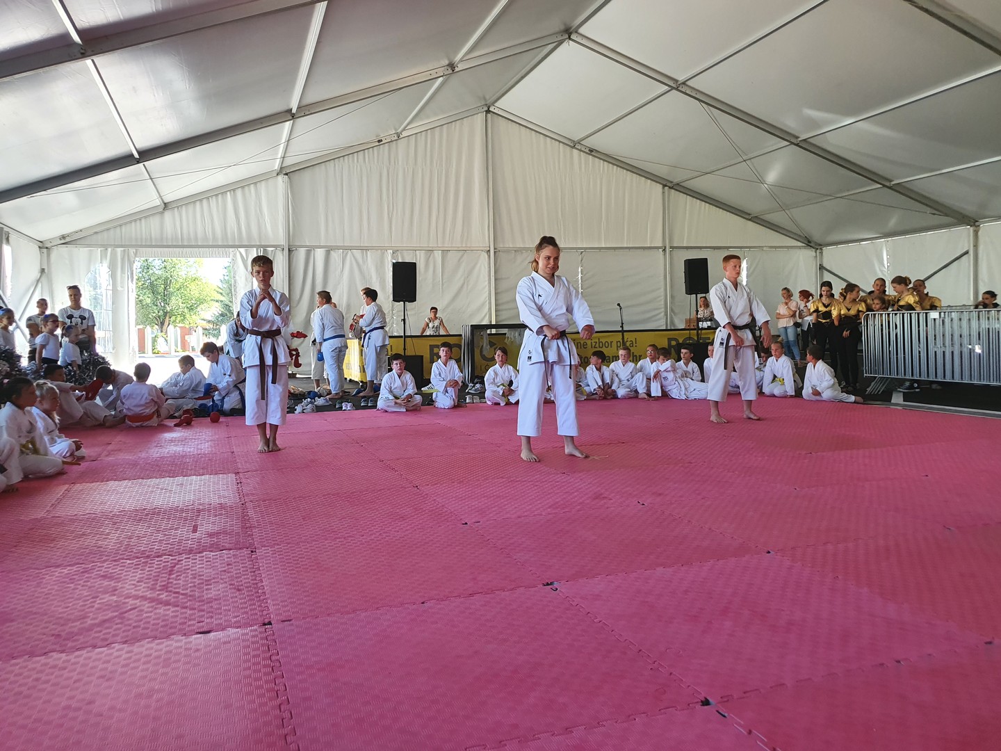 U Murskom Središću održan prvi Ljetni dječji festival!