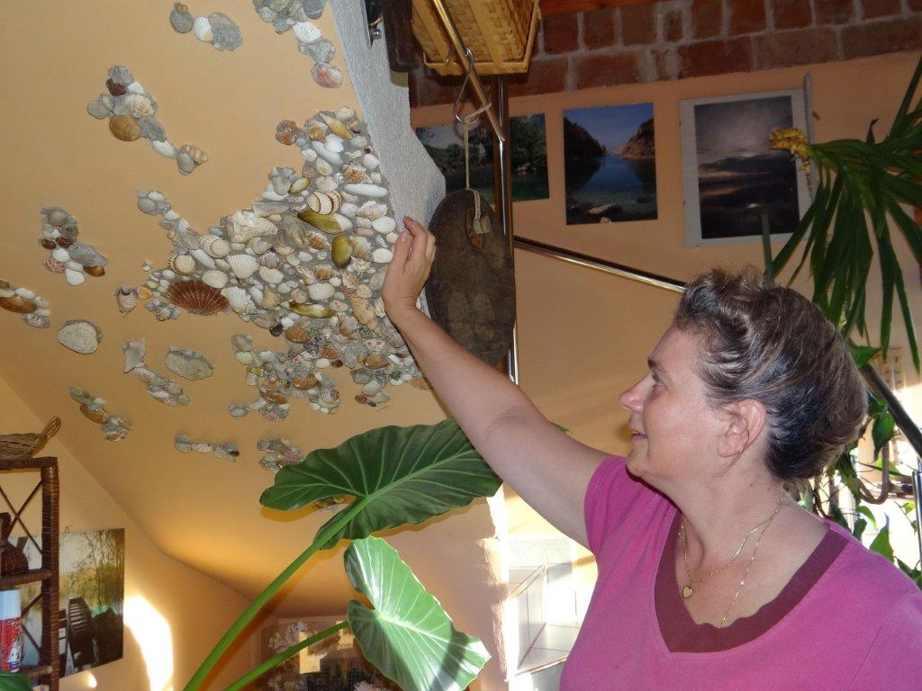 Biljno carstvo Vanje i Alena u Šenkovcu: Njihov vrt ‘Četiri godišnja doba’ mami poglede