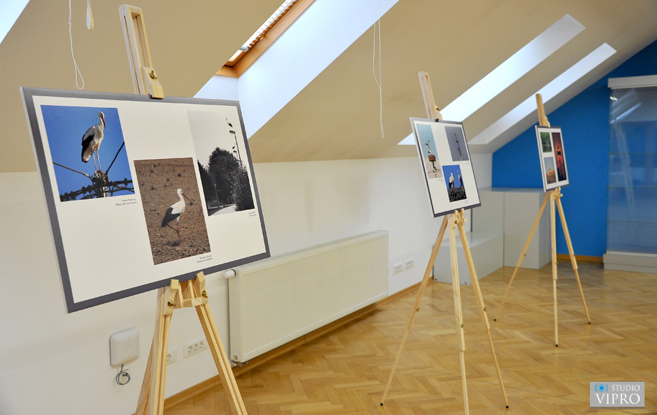 U Prelogu održano predavanje i otvorena izložba o bijeloj rodi