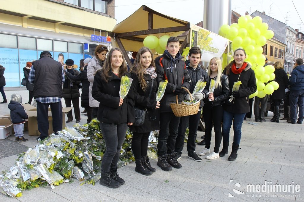 slika0037636992829310