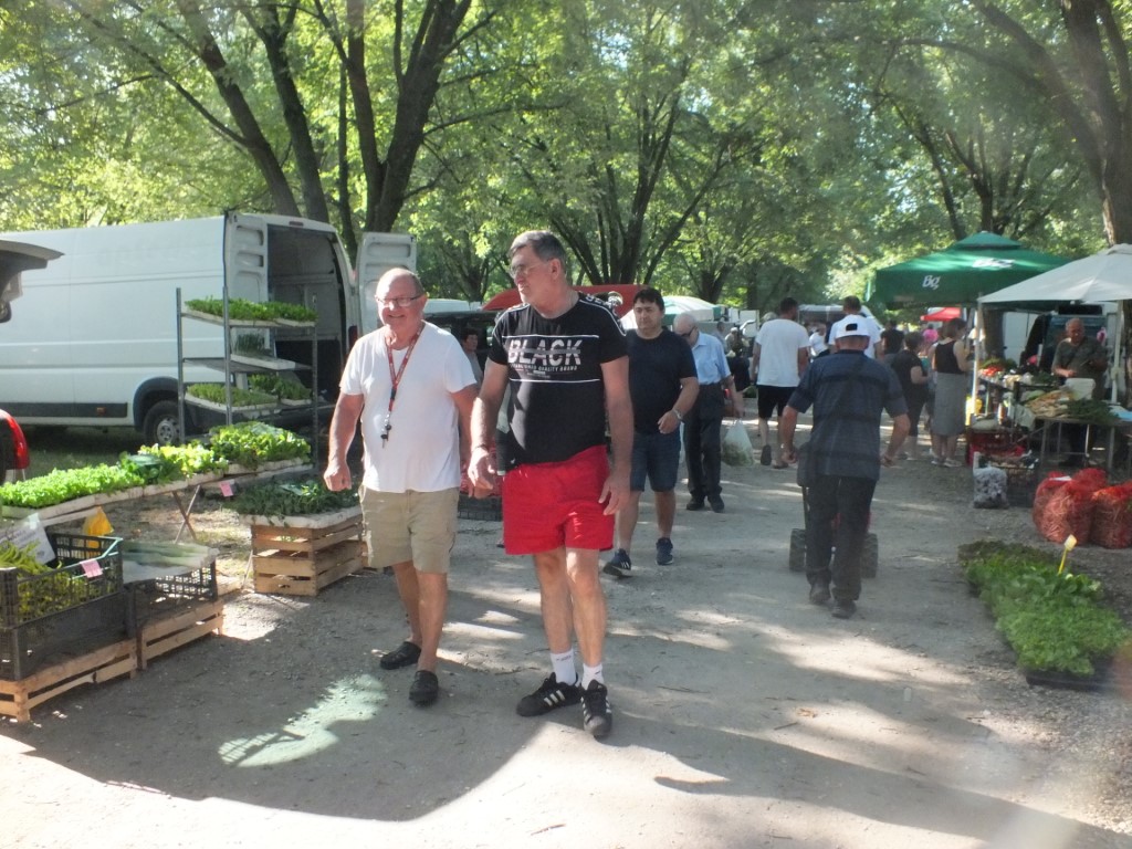 Image 5810903 (auto)