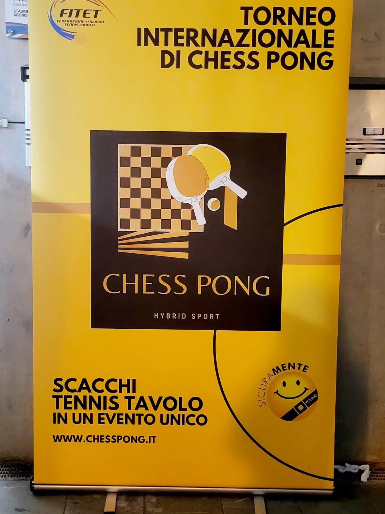 chess pong (3)