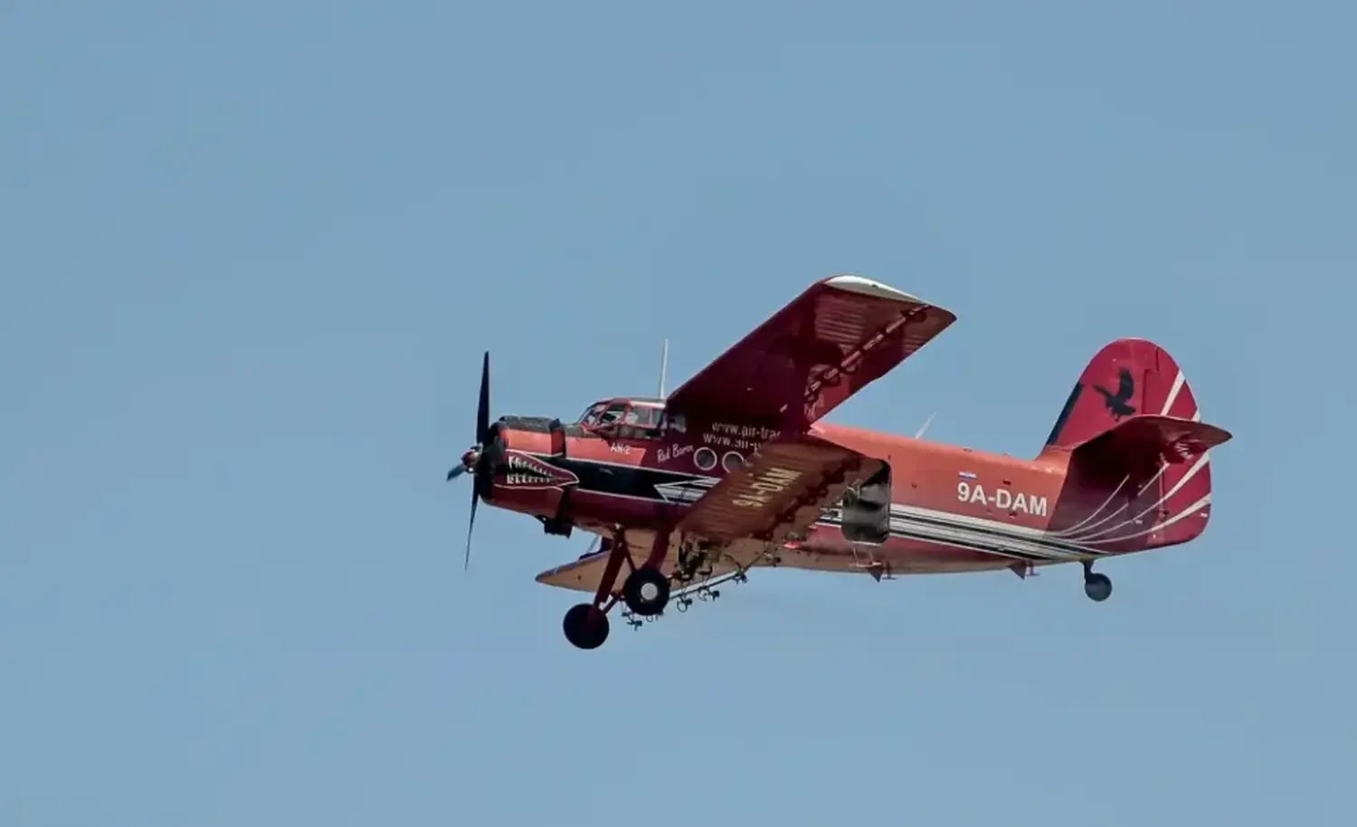 ciav 2024 (13) ciav 2024 (13)