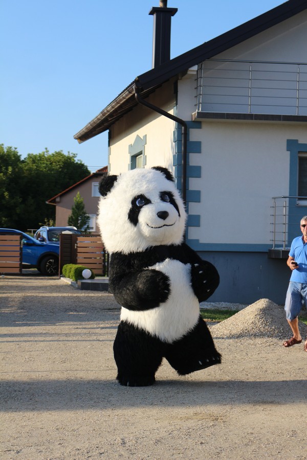 čoski kot (38) čoski kot (38)