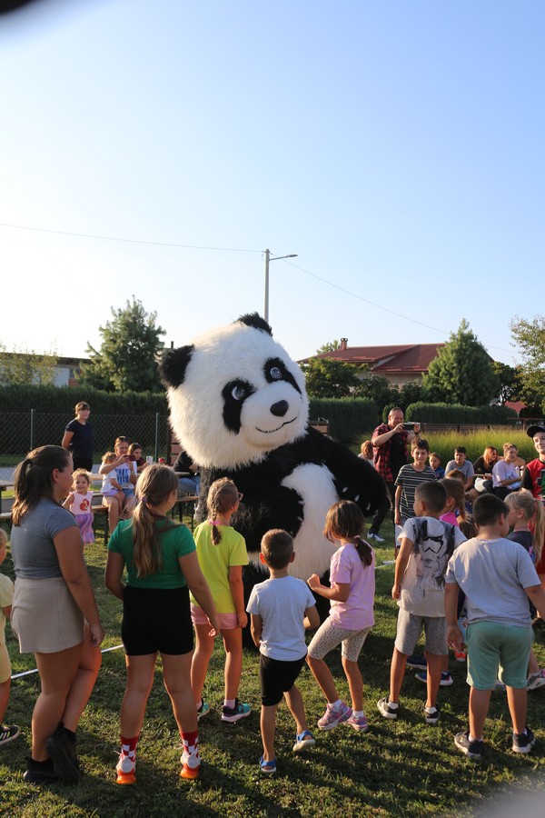 čoski kot (40) čoski kot (40)