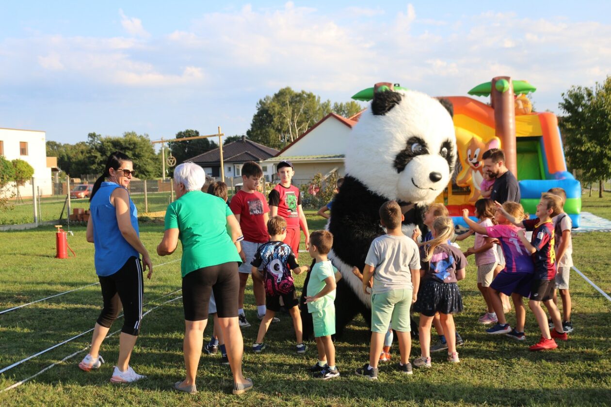 čoski kot (41) čoski kot (41)