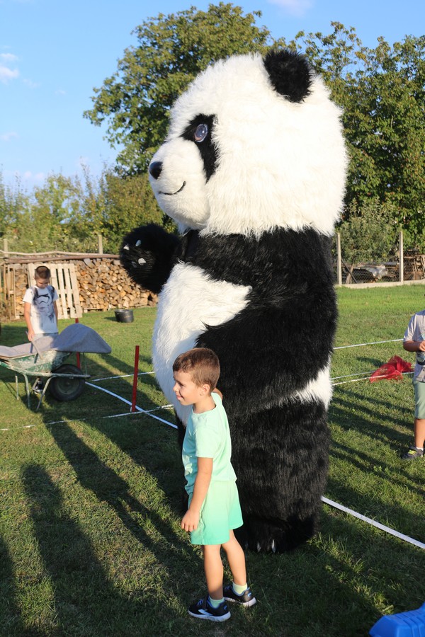 čoski kot (45) čoski kot (45)