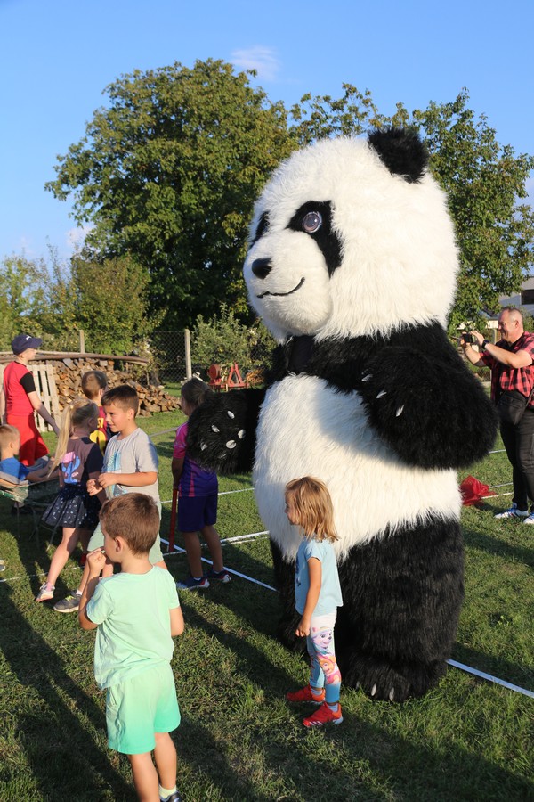 čoski kot (46) čoski kot (46)