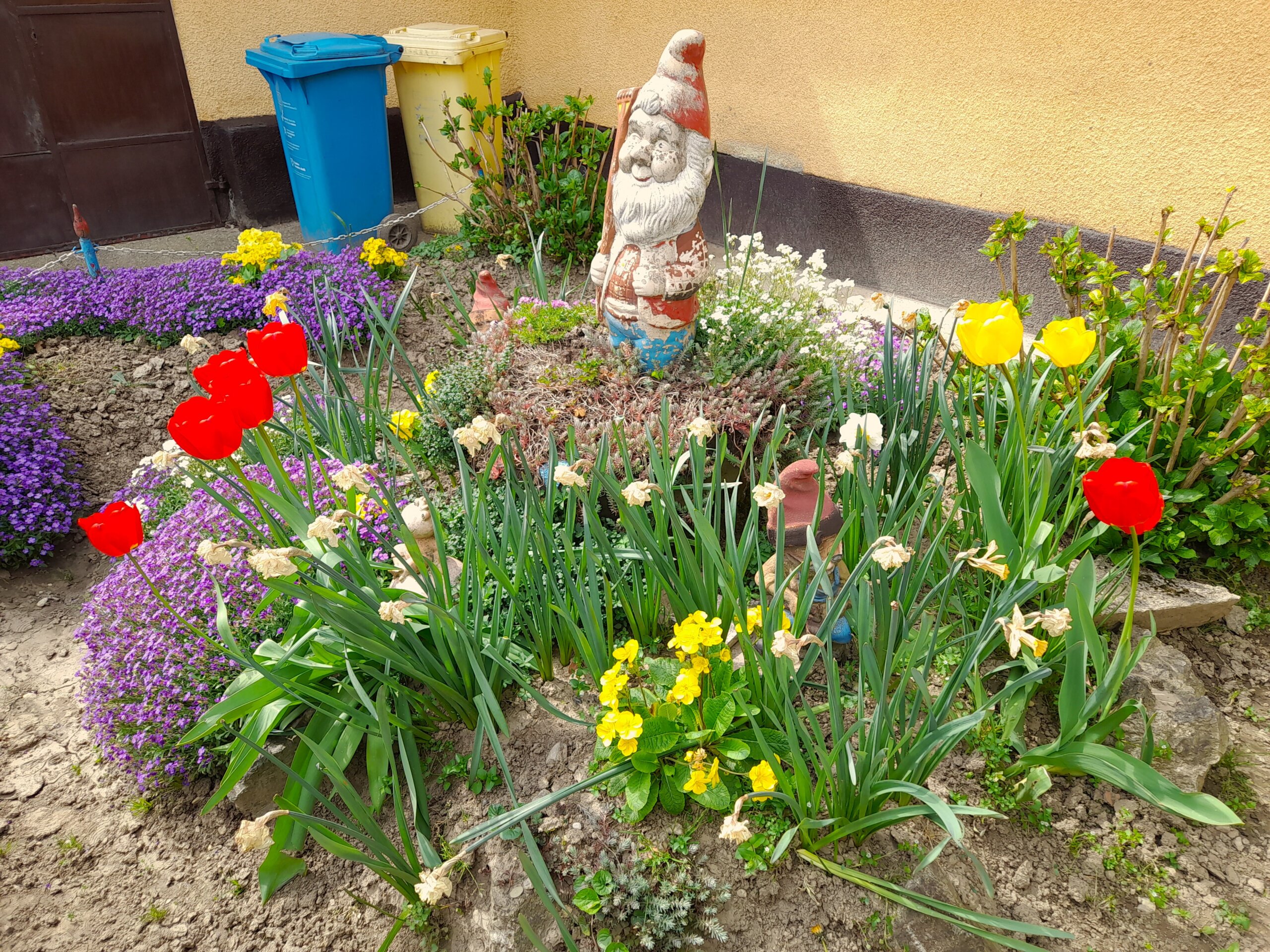 cvjetnjak,Katarina Škoda (1) cvjetnjak,Katarina Škoda (1)