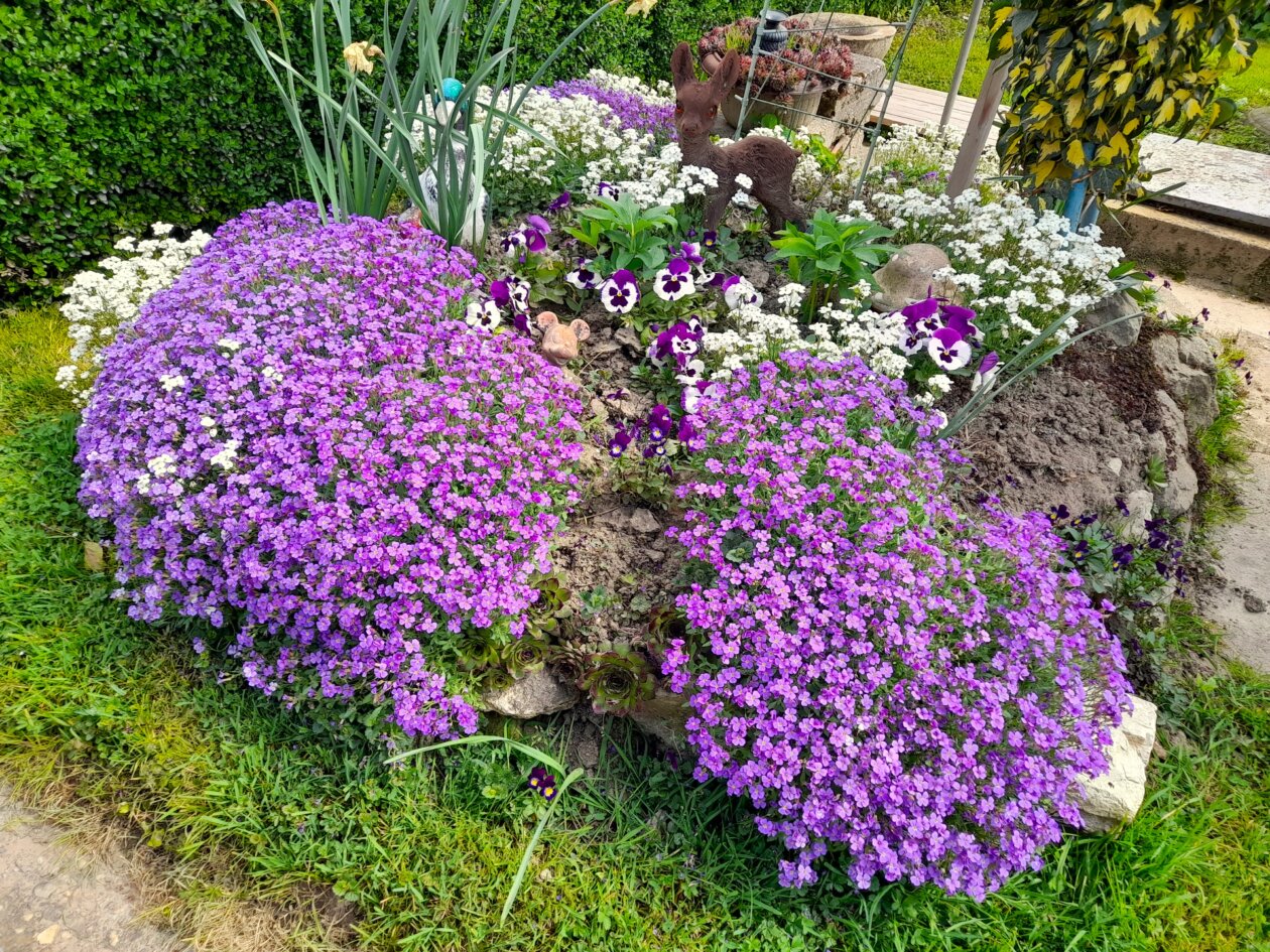 cvjetnjak,Katarina Škoda (4)