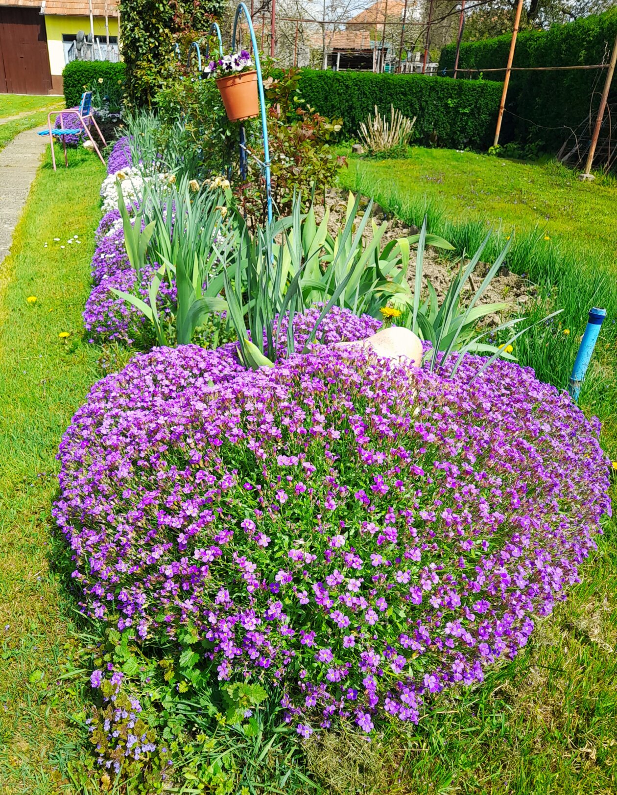 cvjetnjak,Katarina Škoda (5)