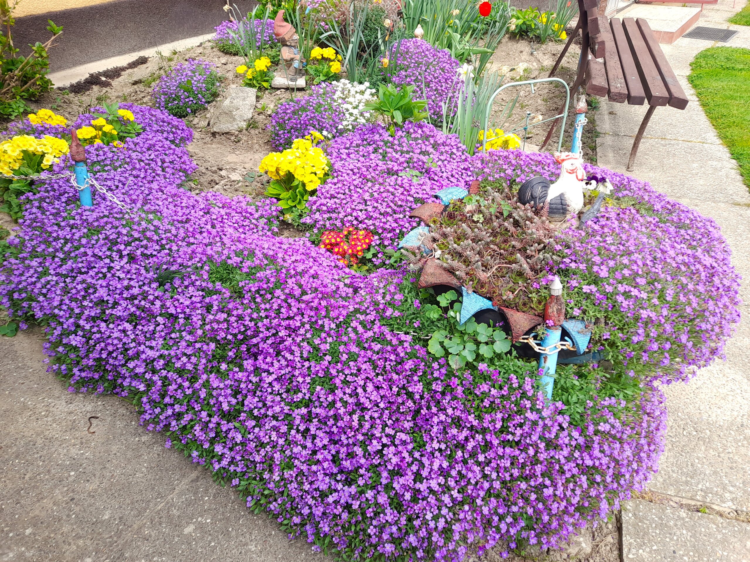 cvjetnjak,Katarina Škoda (6) cvjetnjak,Katarina Škoda (6)