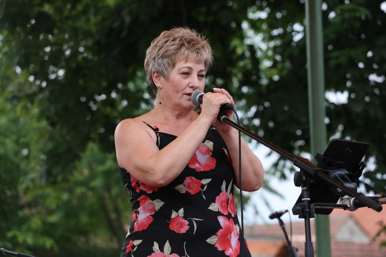 ZA MALU HRABRICU ‘Fijolina za Luku’ – veliki humanitarni koncert za Luku Lehkec u Pribislavcu