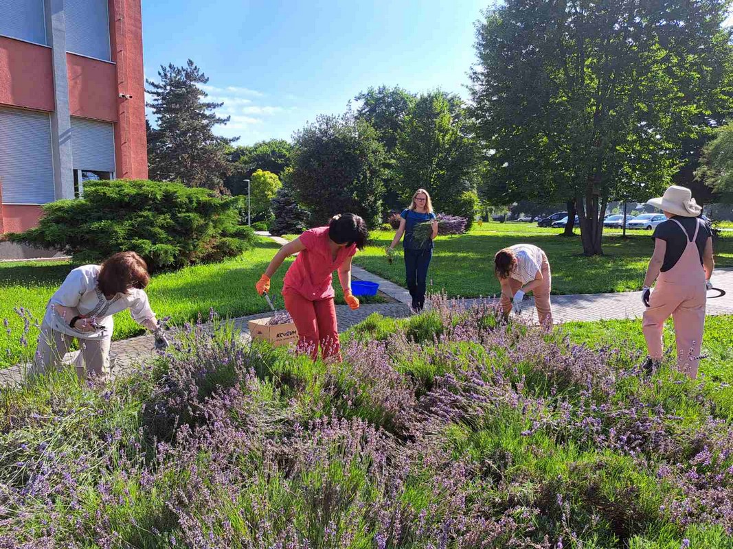 Mirisni vrt ETŠ Čakovec
