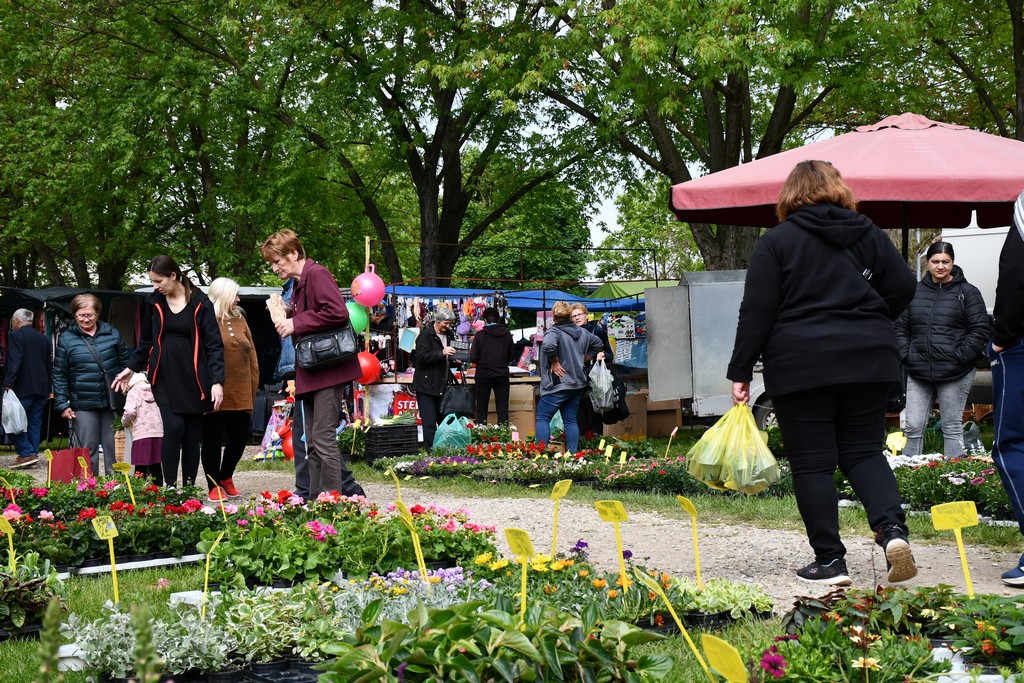 ČAKOVEČKI SAJAM SRIJEDOM Najveći interes i dalje vlada za presadnice