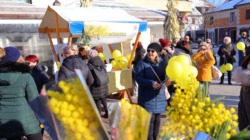 Dan mimoza 2024 Dan mimoza 2024