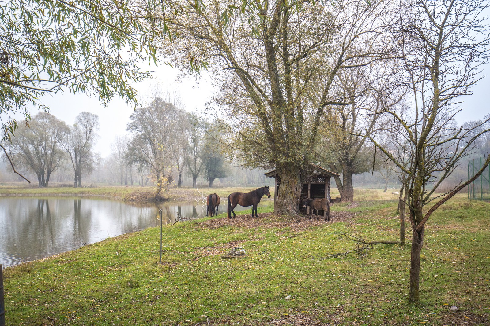 Međimurje se predalo jeseni