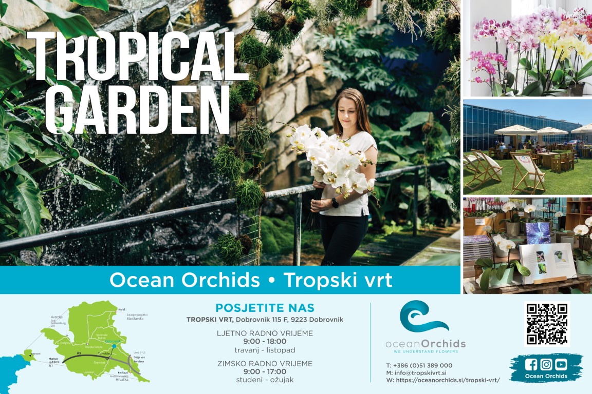 Image 5818473 (auto)