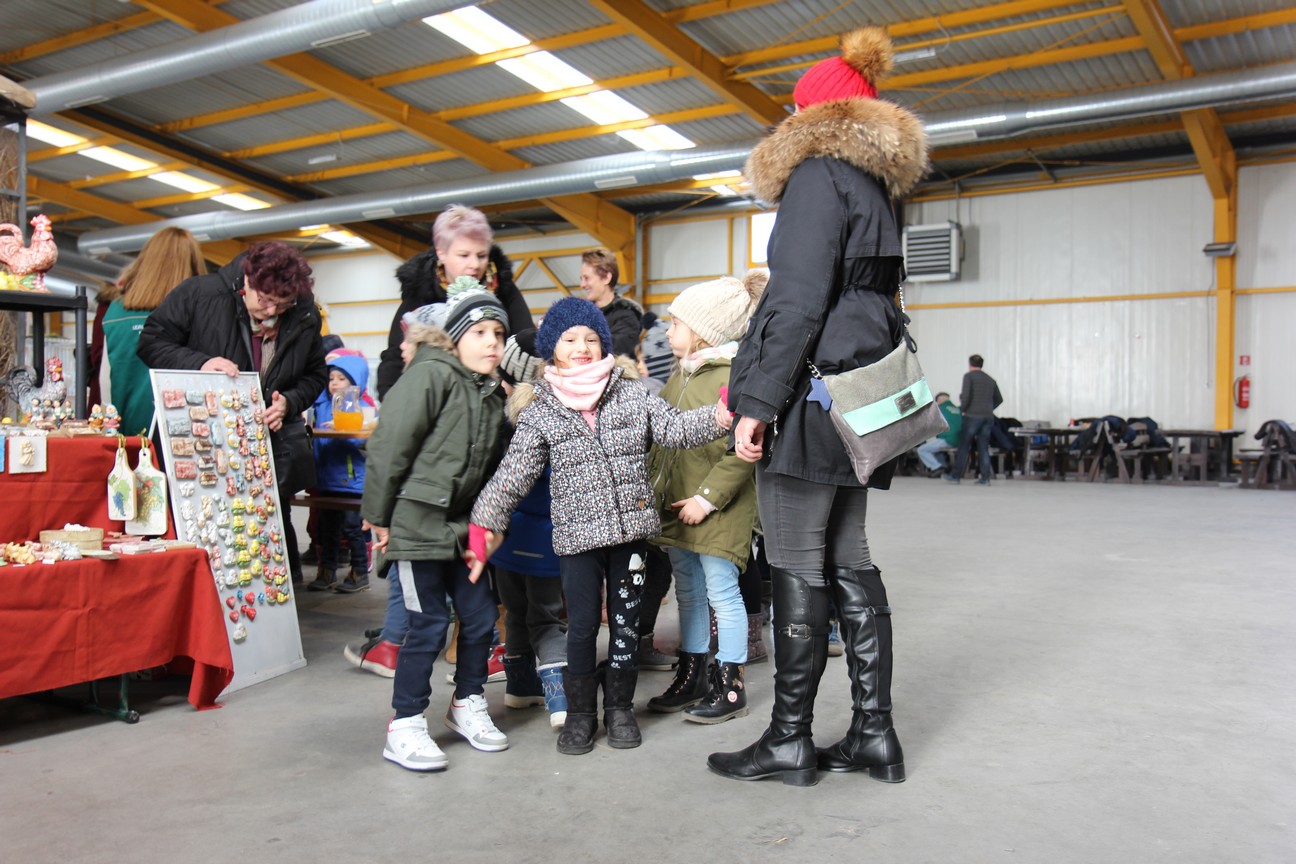 Otvorena izložba malih životinja u Nedelišću