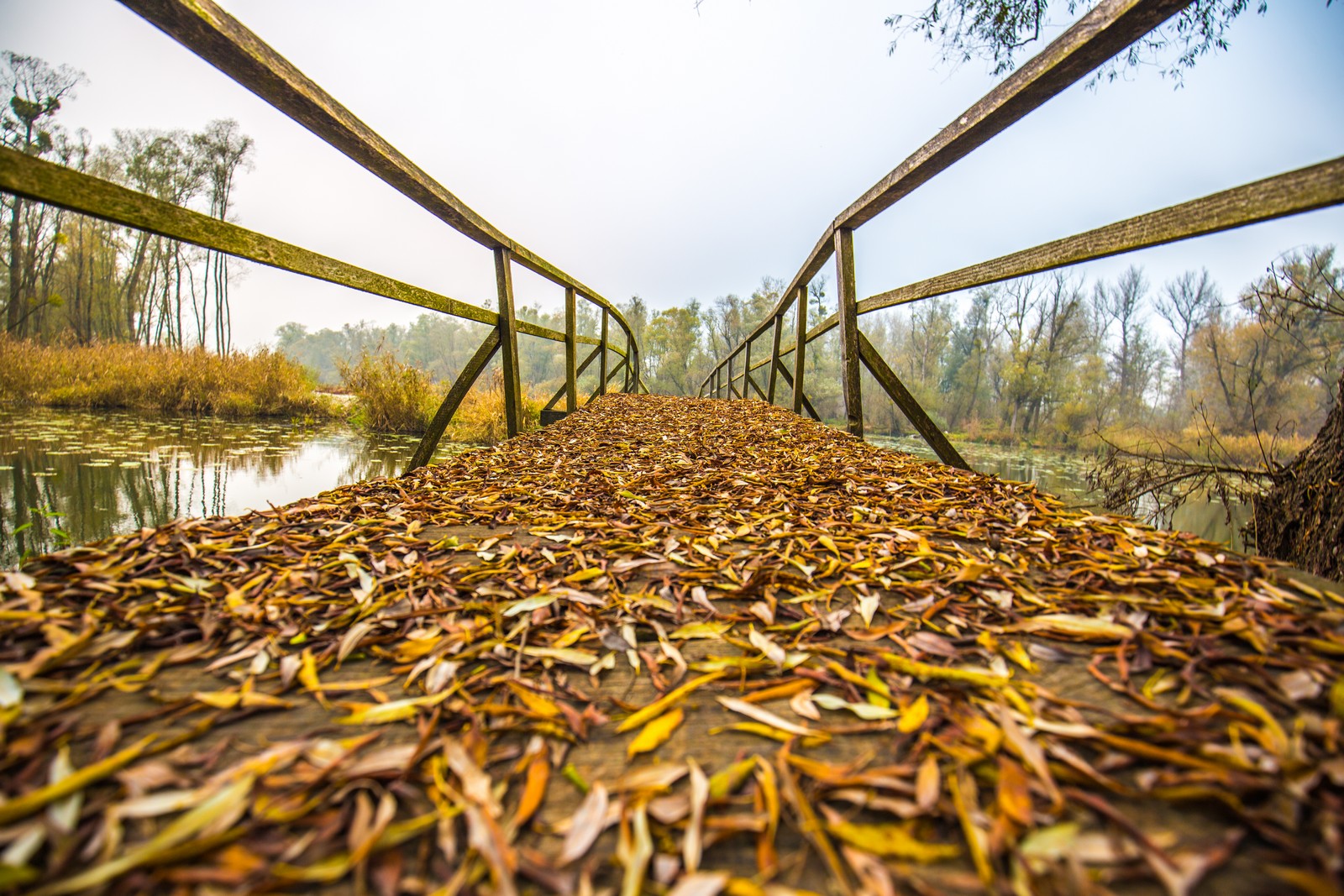 Međimurje se predalo jeseni