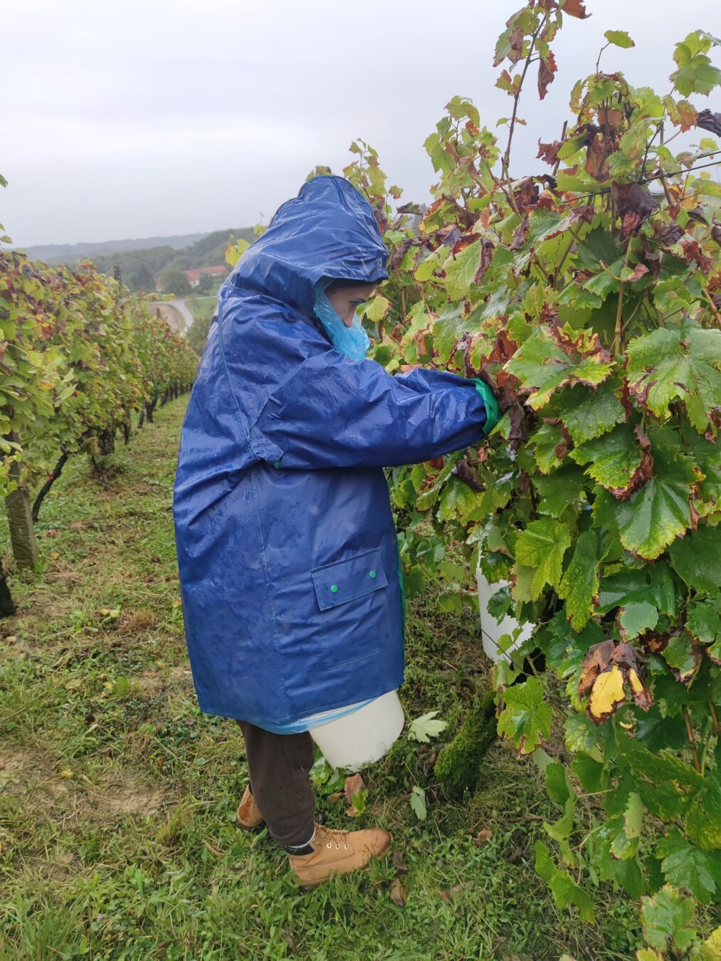 bratva sveti urban 2023 puklavec horvat