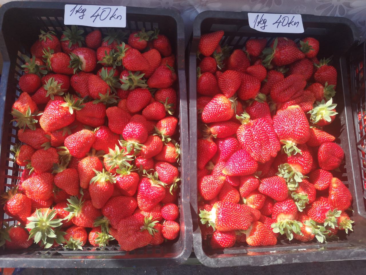 Festival cvijeća, jagoda i tradicije u Čakovcu