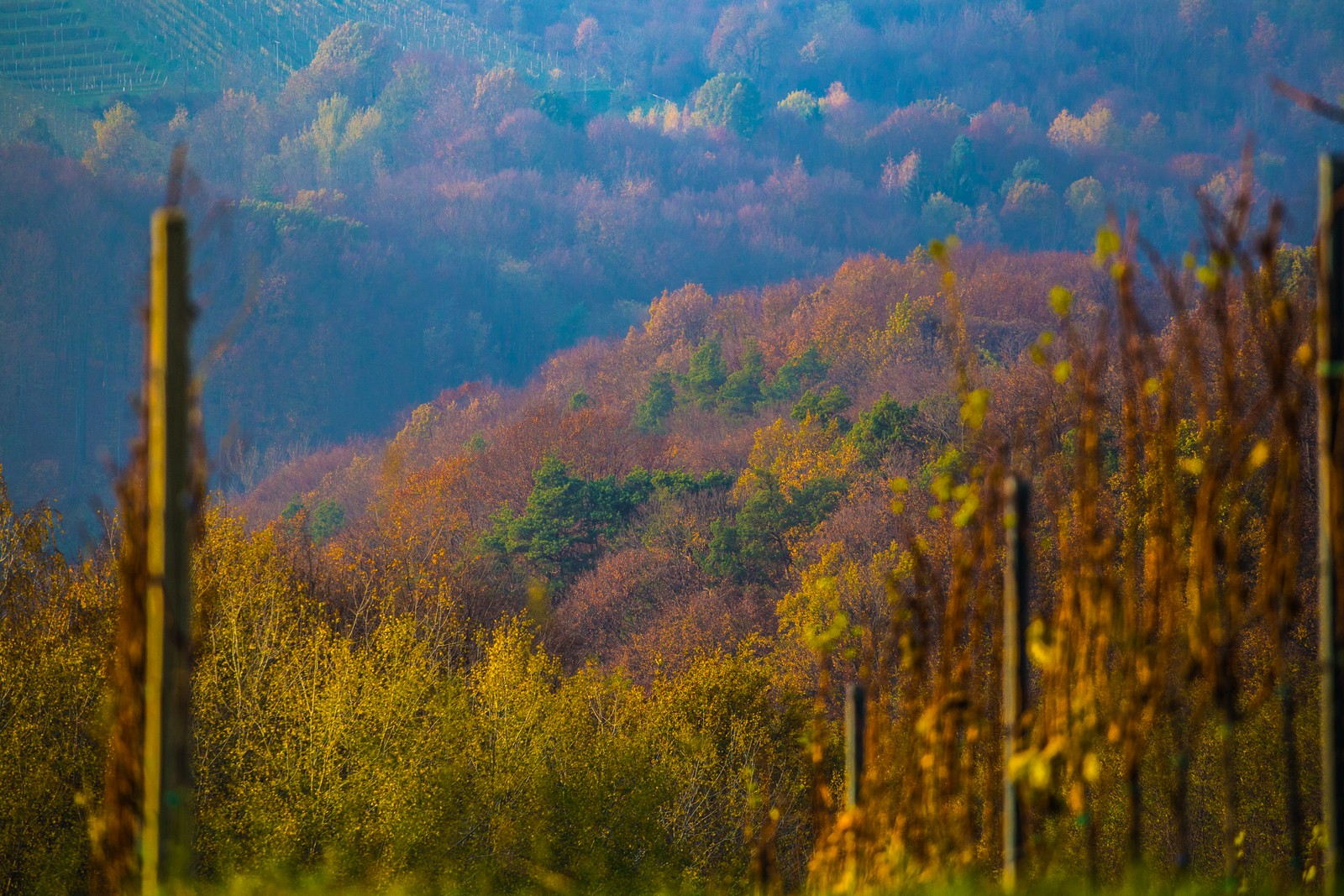 Međimurje se predalo jeseni