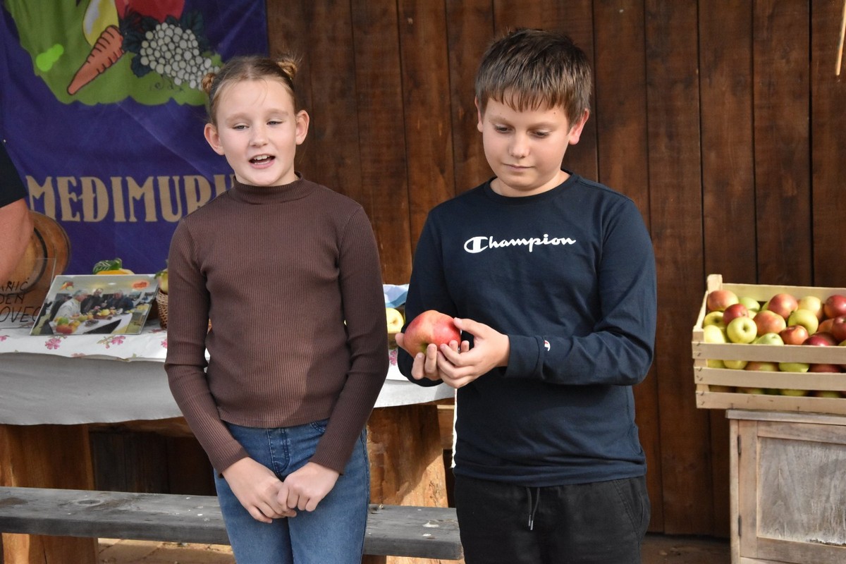 FOTO Ukusne i zdrave jabuke, zakuska i zabavni program za posjetitelje Izložbe starih i novijih sorti jabuka FOTO Ukusne i zdrave jabuke, zakuska i zabavni program za posjetitelje Izložbe starih i novijih sorti jabuka