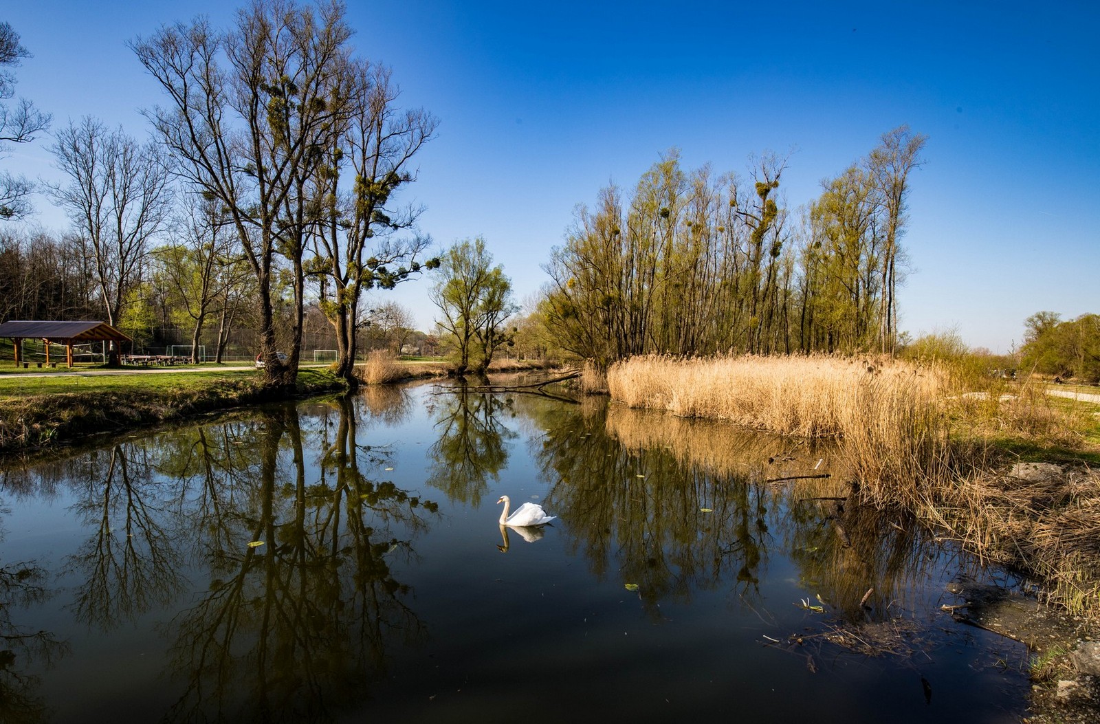 FOTO Prvi dan proljeća u Međimurju: Pogledajte predivne fotografije šetnje po Mađernikom bregu i Žabniku FOTO Prvi dan proljeća u Međimurju: Pogledajte predivne fotografije šetnje po Mađernikom bregu i Žabniku