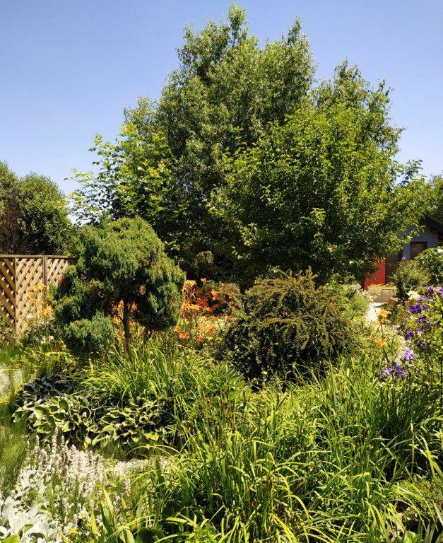 Biljno carstvo Vanje i Alena u Šenkovcu: Njihov vrt ‘Četiri godišnja doba’ mami poglede