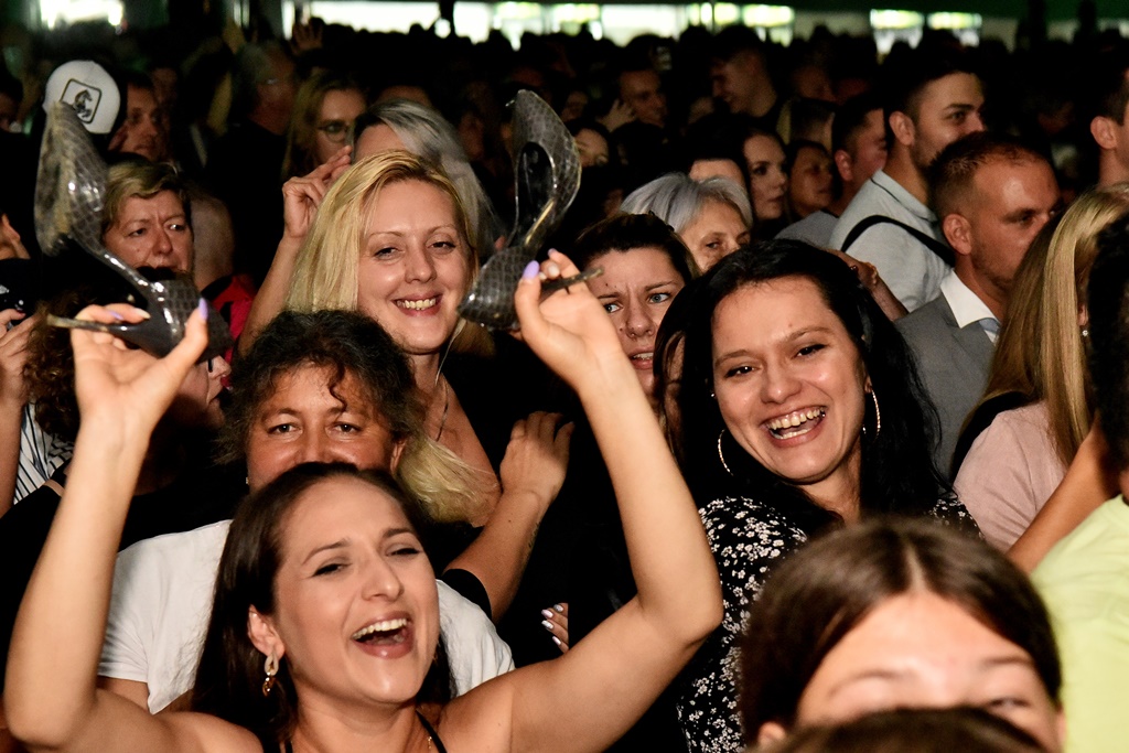 Image 5462336 (auto)