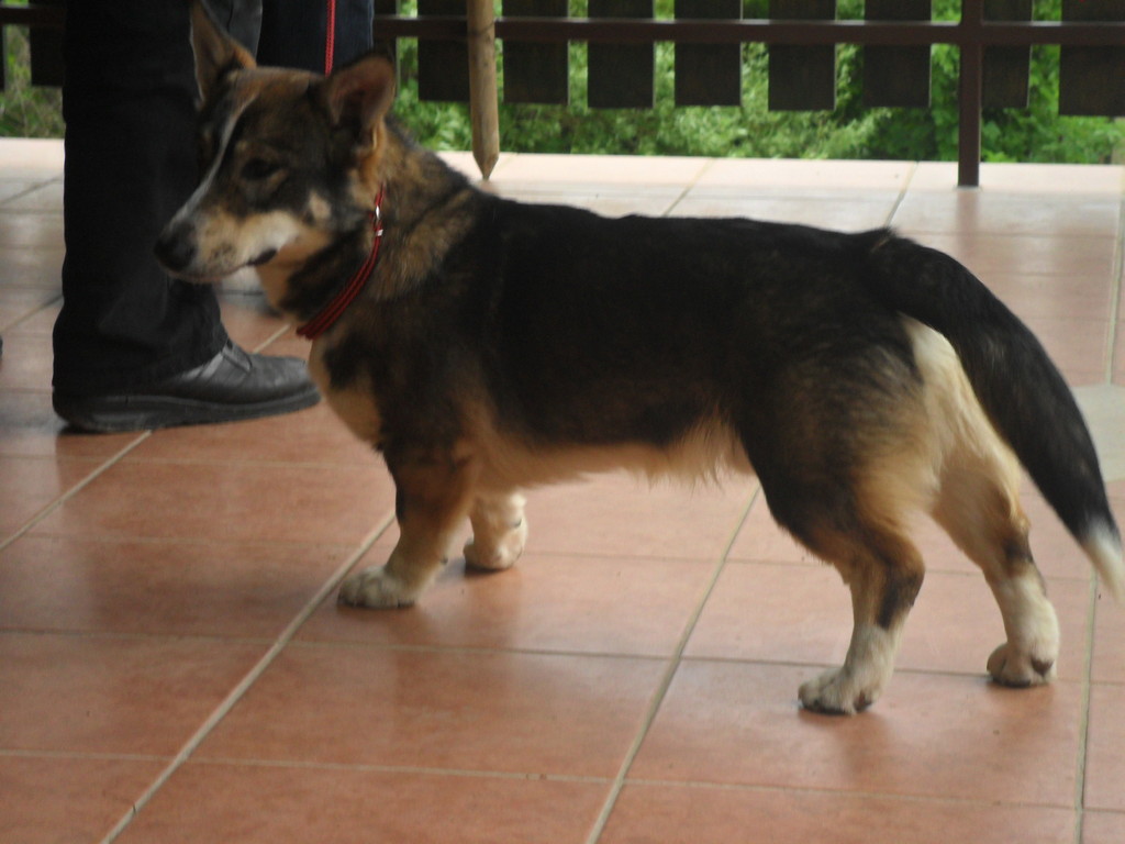 fotografija00005249017