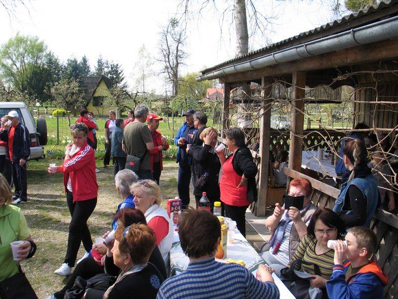 1292447310204634848230218895243