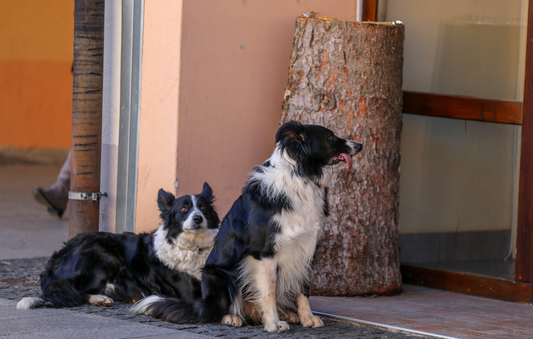 Klikom po Čakovcu (Subota, 15.2.2020.)