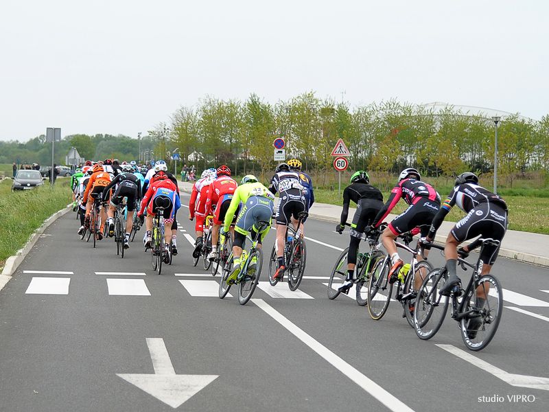 347015041dsc9175386707