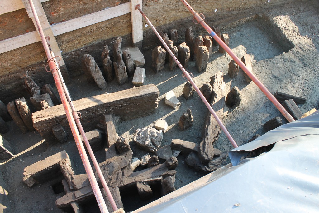 Viša kustosica Branka Marciuš