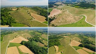 Image 4475097 (auto)