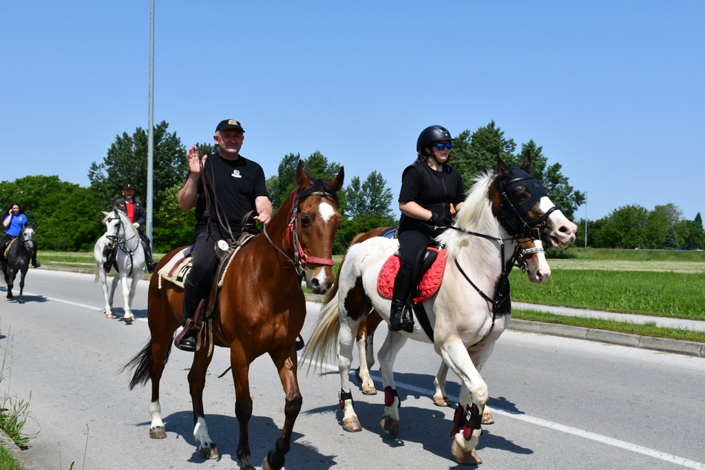 VIDEO I FOTO Međunarodno konjičko druženje okupilo brojne uzgajivače konja iz SZ Hrvatske te Slovenije i Austrije