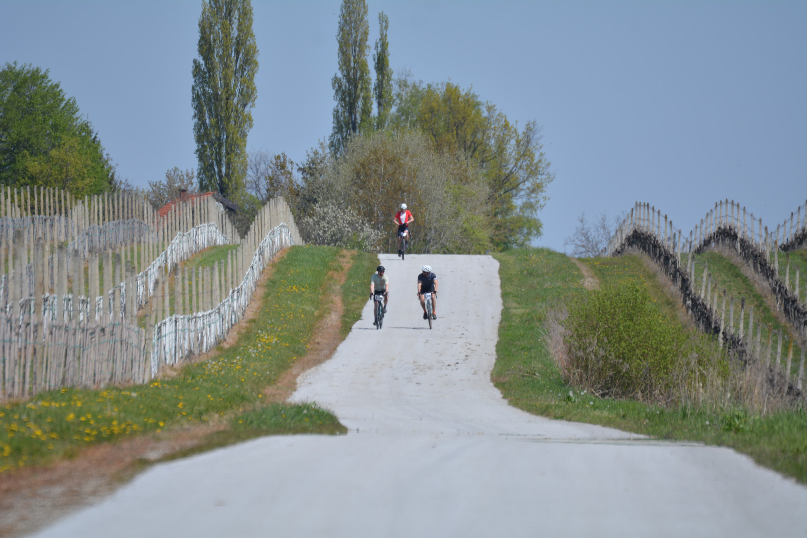 VELIKA FOTOGALERIJA Pogledajte kako je bilo je gravel maratonu između Mure i Drave VELIKA FOTOGALERIJA Pogledajte kako je bilo je gravel maratonu između Mure i Drave