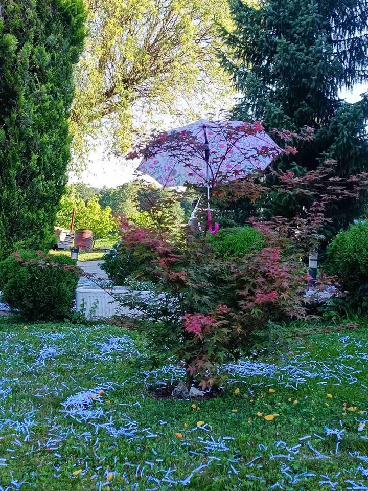 Potepanje za Maju i Matiju