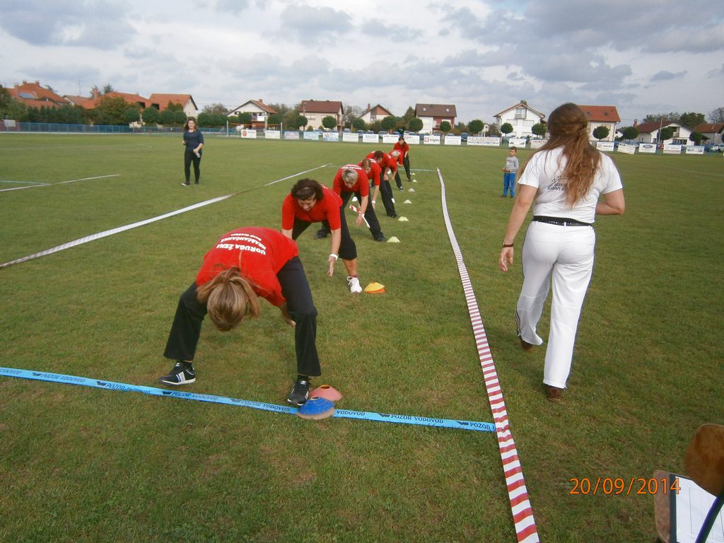 zenehrascanke05513549